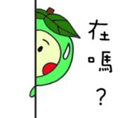 18270630