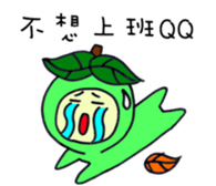 18270632