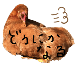 182735177