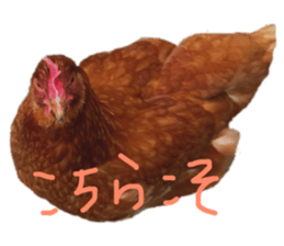 182735178