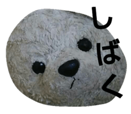18277331