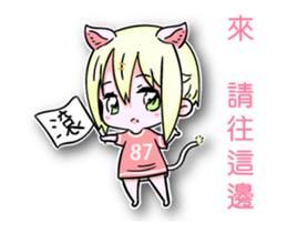 18278956