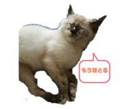 182797190