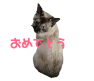 182797195
