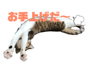 182838863
