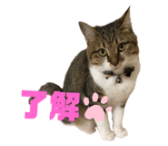 182838867