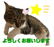 182838872