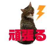 182838876