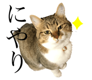 182838881