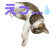 182838884