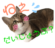 182838888