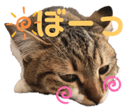 182838889