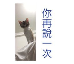 182910708