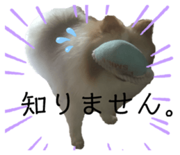 182911188