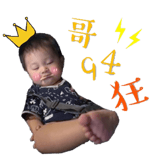 18294244