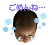 182950992