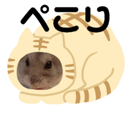 182951008