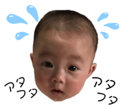 182972261