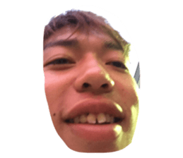 18303694