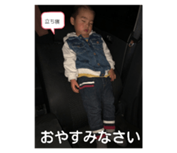 183053008