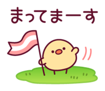 18306294