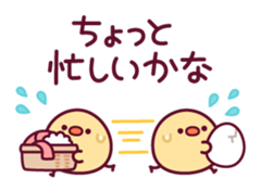 18306311