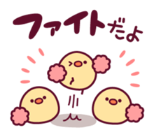 18306316
