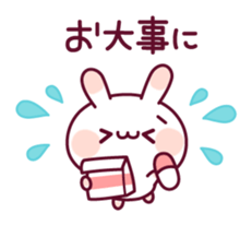 18306317
