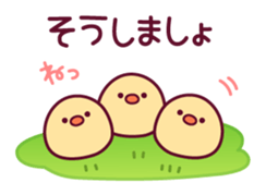 18306319