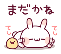 18306320