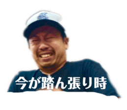 183065311