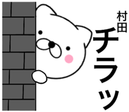 18306545