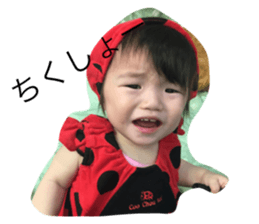 18306555