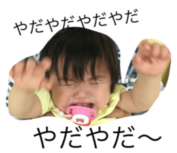 18306560