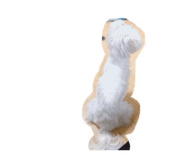 183141700