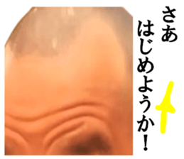183151288