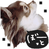 183190375