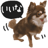 183190378