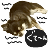 183190381
