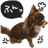 183190384
