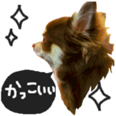 183190385