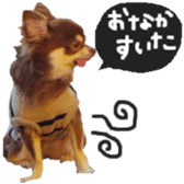 183190386