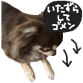 183190392