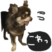 183190400
