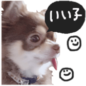 183190402