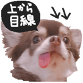 183190404