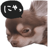 183190405