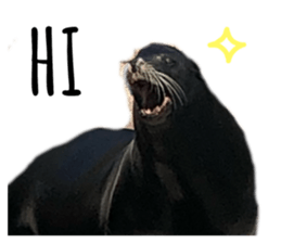 183259980