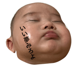 18327475