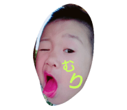 18330348